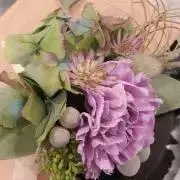 まいちんの画像