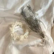 scent flowerの画像