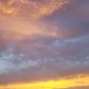 はなの画像