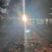 ヾ(´・ω・`๑)の画像