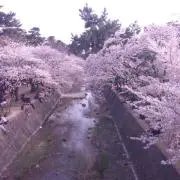 K.bridgeの画像