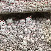 Mainsolaの画像