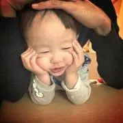 HARUの画像