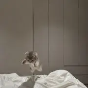 さの画像