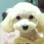 ちーちゃん ☆プロフ必読☆