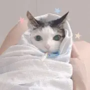 Po ₊˚✩