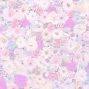 ゆい