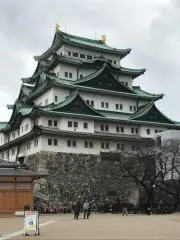 なや(プロフ確認お願いします)の画像