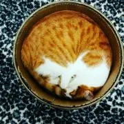 オハナ