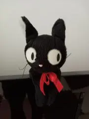 くろちゃんの画像