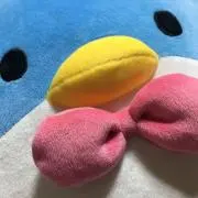 まの画像