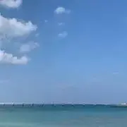 こんぺいの画像