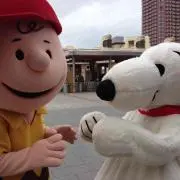 きょちゃんの画像