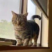 TKYの画像