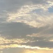 まろんの画像
