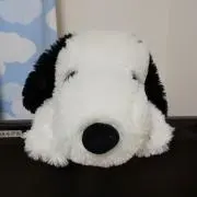 アズの画像