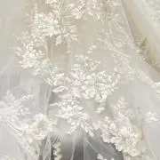 はーくんの画像