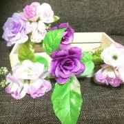 Nーmamaの画像
