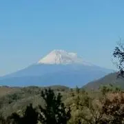 三兄弟の画像