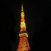 ココロプロフ必読の画像