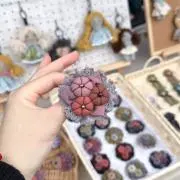 藍晶布アート工房