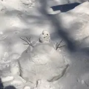 ももろうの画像