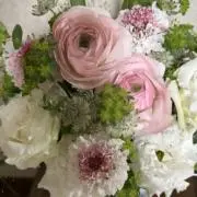 あんの画像