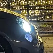 Zの画像