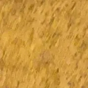 ココナット
