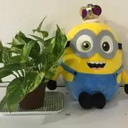 ヒデ