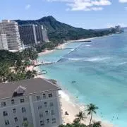 ももの画像