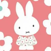 ✳miffy_san✳の画像
