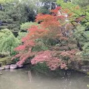 みかん