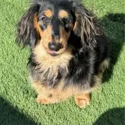 mama