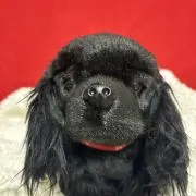 夢乃の画像