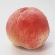 ももちゃんの画像