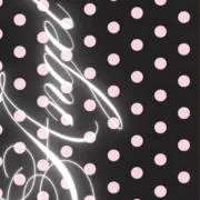✦︎の画像