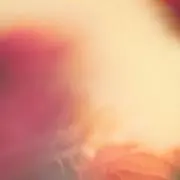 Sunny.の画像