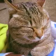 TENSK※プロフご確認願います※の画像