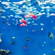 mugiの画像