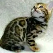 お~くぼ