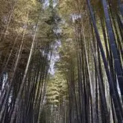 なる（発送日についてプロフ確認ください）の画像