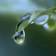 あめ★プロフ必読の画像