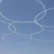 よしよしの画像
