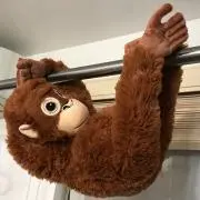 りーさちの画像