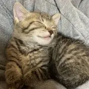 ⭐︎ミルル⭐︎       プロフ参照の画像