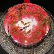 ksの画像