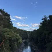 エボタの画像