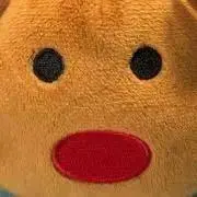 nunの画像