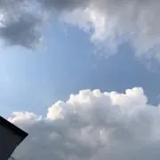ゆえの画像